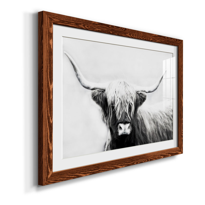 Seifert Longhorn - Reproduction de cadre photo sur papier, Papier avec cadre érable, H 27,5 po x l 37,5 po x P 1,5 po