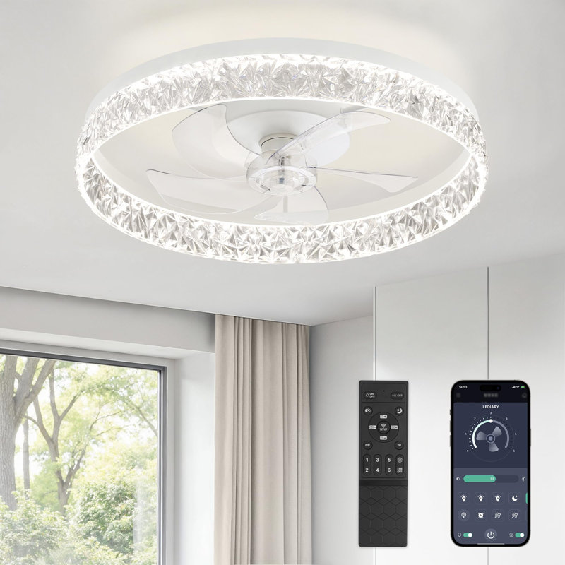 22 inch Modern Ceiling Fans with Lights and Remote, Clear, White
