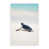 Unframed Paper selected