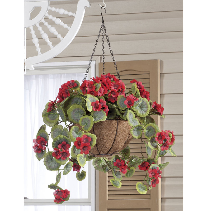 OakRidge Fully Assembled Geranium Hanging Basket, Red