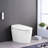 Ceramic Smart Toilet, Night , Auto Flush, Silent Slow Down. 18.93In Height, 23.62In Package Height Toilet Bidet , Seat Heat, Foot Sensor Flush. White Ceramic, Self-Cleaning Nozzle