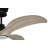 Alli 60'' Ceiling Fan with LED Lights-2057309967