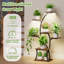 Plant Stand - Set of 8
