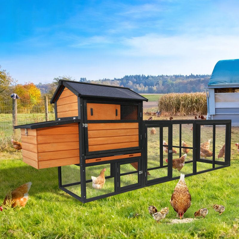 Cage à poulets en bois brun L 114,06 po x l 25,48 po x H 42,32 po 1 pièce
