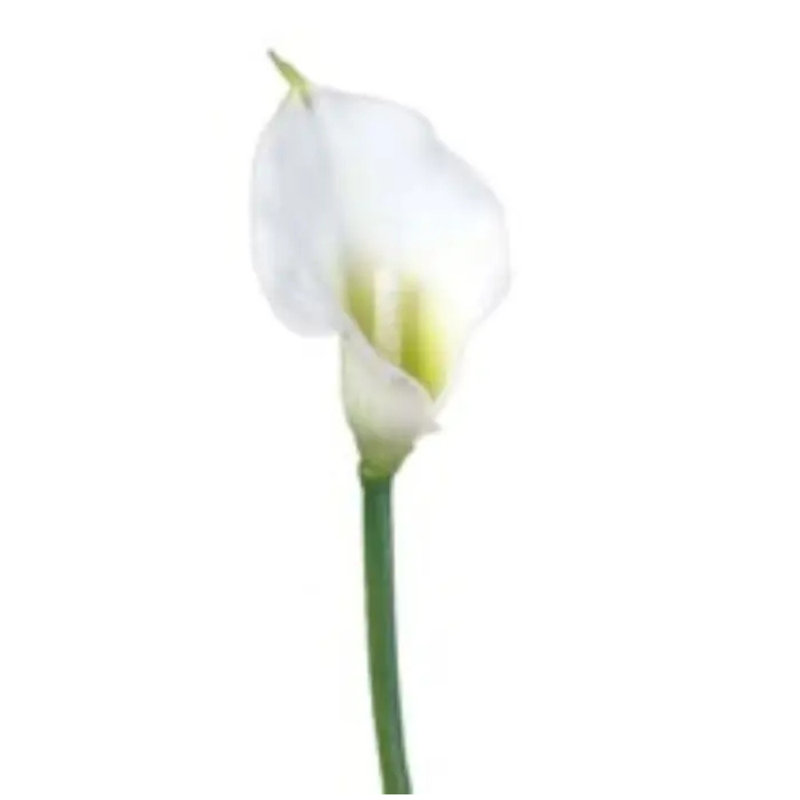 Ensemble de 6 fleurs artificielles 18 po Calla
