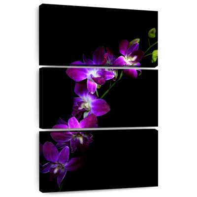 Orchidées mauves Dendrobium