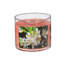 Ensemble de 2 bougies 14 oz 3 Wick Jar