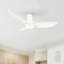  Ventilateur de plafond moderne à 3 pales Elaise avec lumières DEL, moteur CC réversible à 10 vitesses, ventilateur de plafond à profil bas avec télécommande-25247945-51677440