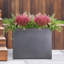 Frostproof, Concrete Effect Garden Planter Pot with Drainage Holes-1872882631-1842319453