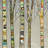 " Birch Trees On Silver " by Eli Halpin-31993132-32122534-119357999