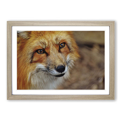 Single Picture Frame Print