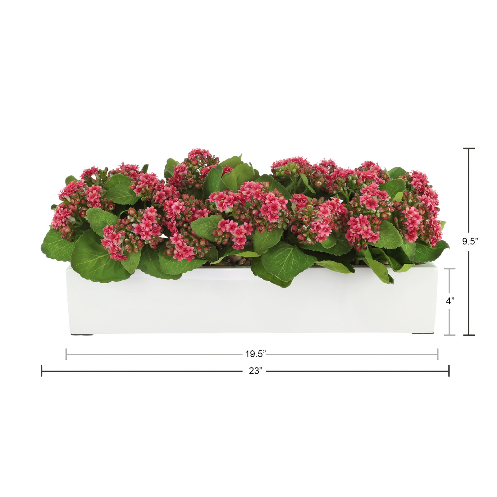 Kalanchoe Arrangement in Fiberstone Planter, Dark Pink, 9.5" H x 23" W x 9.5" D