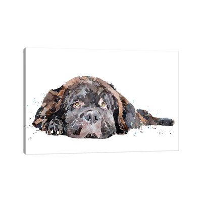 Newfoundland Dog - Wrapped Canvas Painting