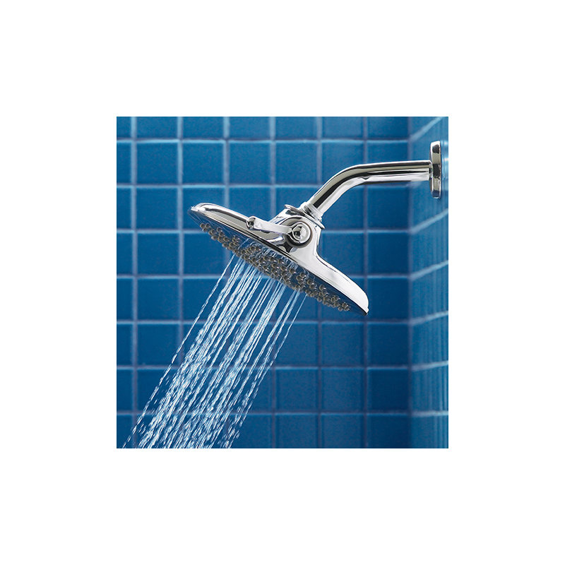 Velocity 2.5 GPM Multi Function with Immersion, Chrome