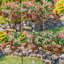 Piquet de jardin Sehana