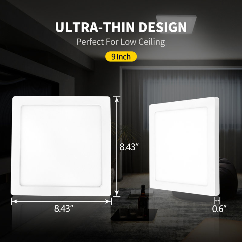 Isanotski LED Flush Mount