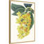 Impression sur toile encadrée «Tropicals VI» par Ciska-1044949081