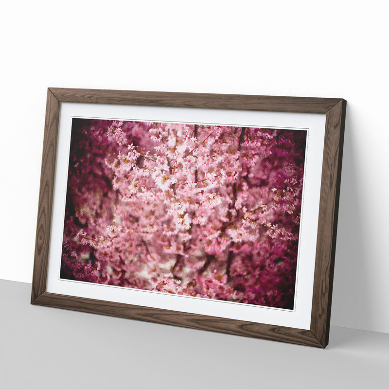 Pink Cherry Blossom Flowers Vol.5 - Picture Frame Graphic Art on MDF, 27cm H x 36cm W x 2cm D, Walnut Framed