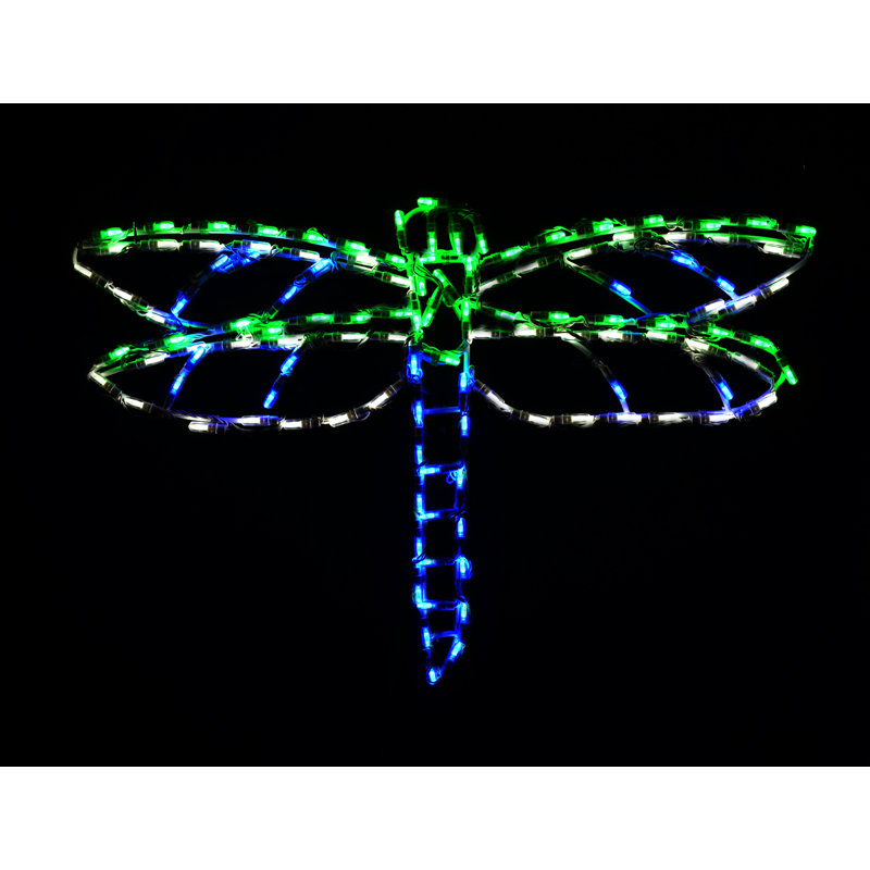 Dragonfly LED Display