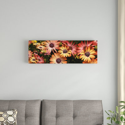 «Close-Up of Daisy Flowers», reproduction de photo sur toile