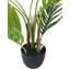 68cm Palm Tree in Pot
