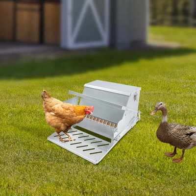 Automatic Chicken Feeder 25 LBS Large Capacity Gravity Poultry Trough, Weatherproof Steel for Farm and Yard
