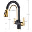 Belfry Kitchen Alfon Pull Out Kitchen Faucet
