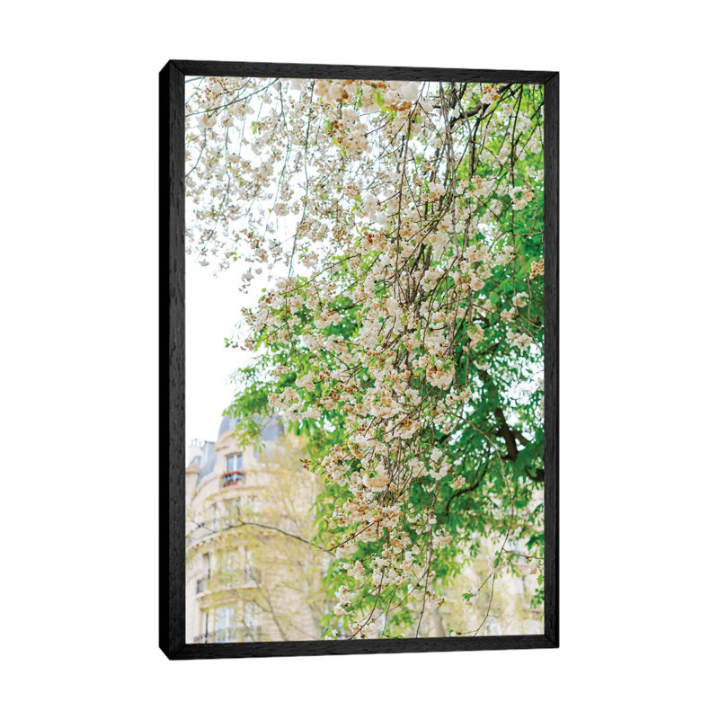Paris Garden II by Bethany Young - Print on Canvas, Black Framed, 66.04cm H x 45.72cm W x 3.81cm D