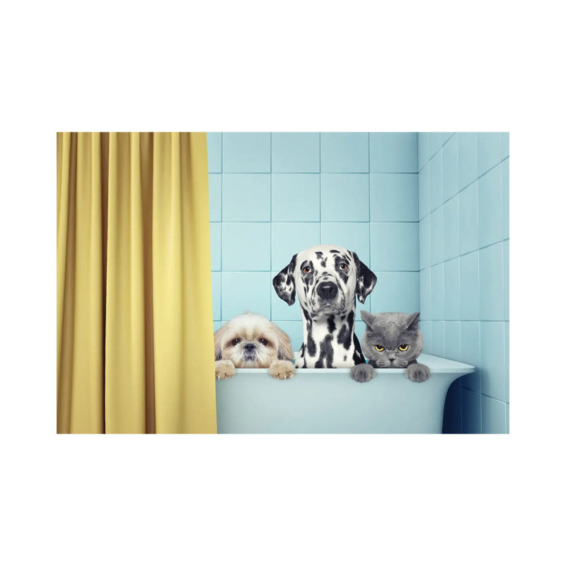 «Two Dogs And Cat In The Bath» par Olga Bilevich - impression sur toile tendue, H 26 po x l 40 po x 1,5 po