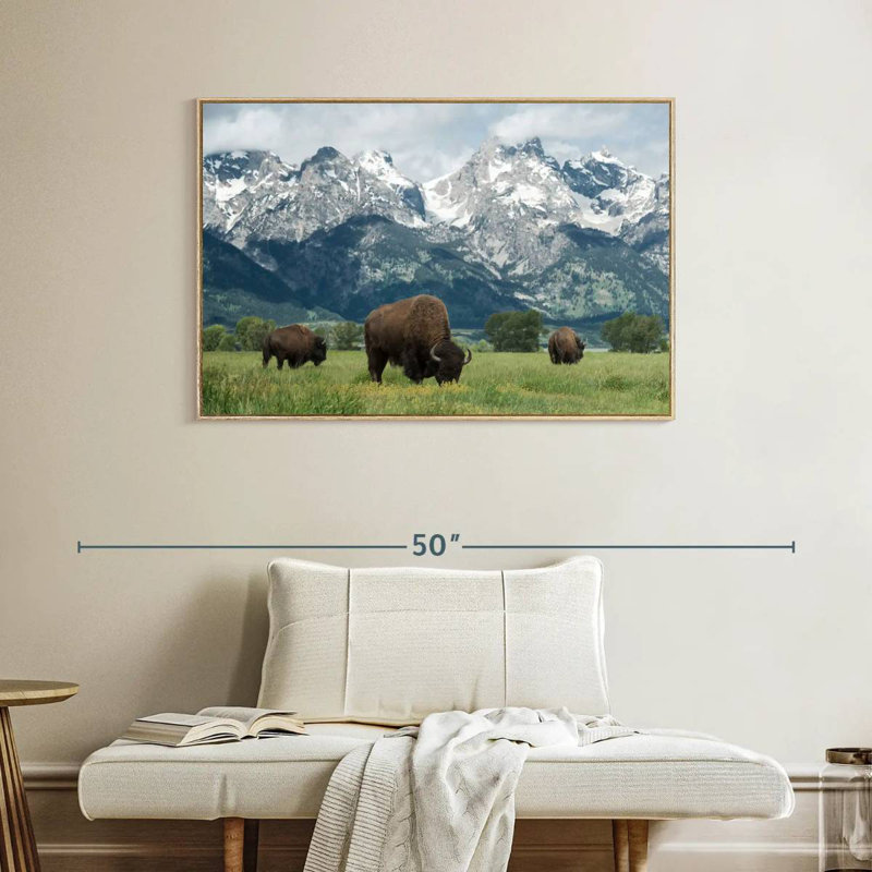 Bison Teton broutant, Cadre flottant en bois naturel, 40 po x 27 po