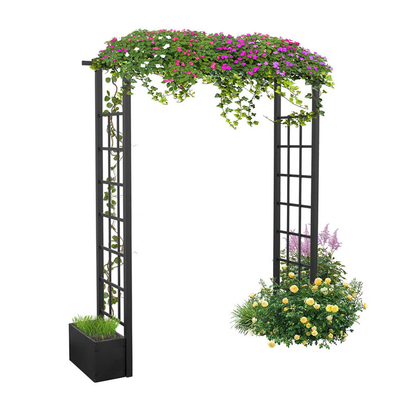 Pergola en fer Warmally Garden