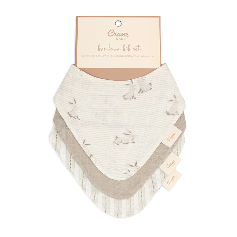 Organic Cotton 3-pc. Bunny Bib Set
