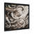 Black Picture Framed selected