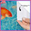 Rideau de douche Goldfish-1701038069