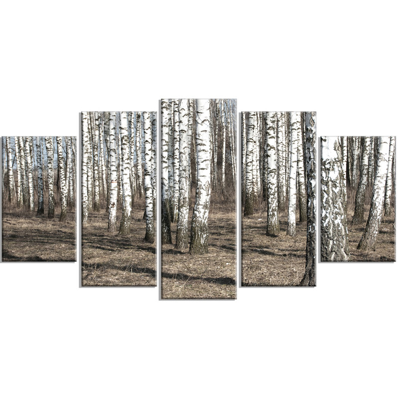 « belle dense bouleau forest view », ensemble de 5 reproductions de photos sur toiles tendues