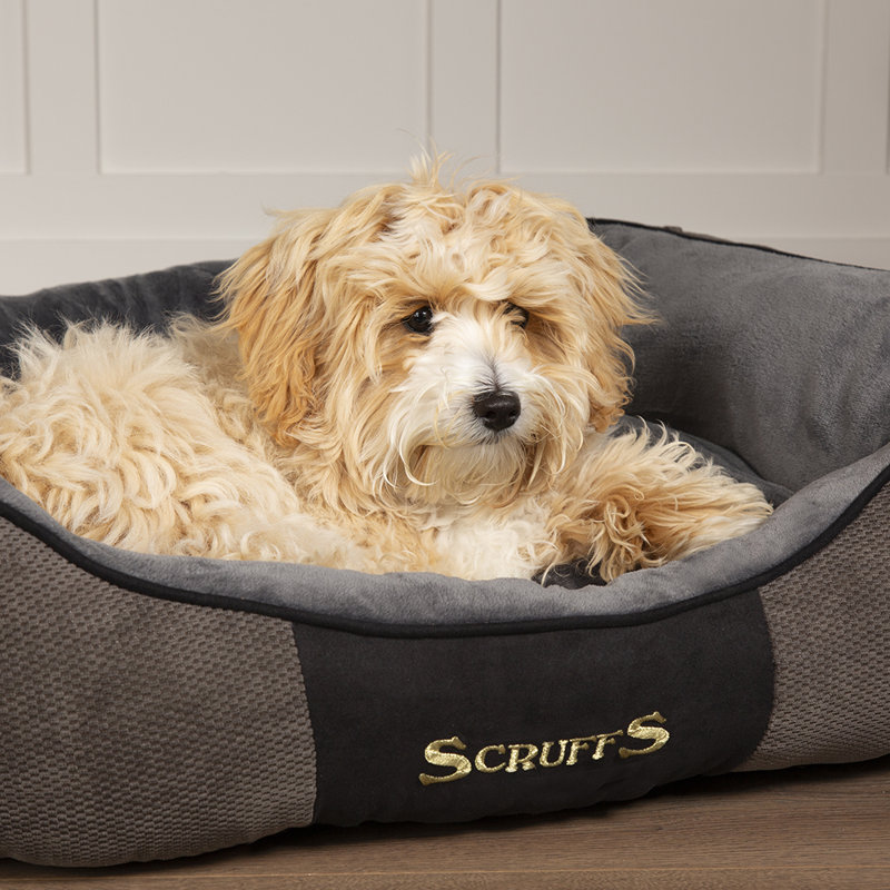 Chester Pet Bed, 16cm H x 60cm W x 50cm D, Graphite/Grey