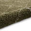 Pechler area rug Machine Woven Green-1409279439