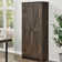 Quast 31.5'' Wide 4 - Shelf Storage Cabinet