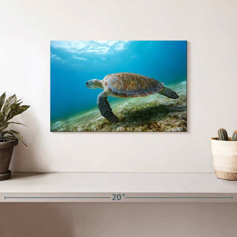 Brampt Hawksbill Turtle In Motion, 8" H x 12" W