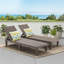 Outdoor Chaise Lounge