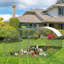 Geraud Chicken Run with Wire Mesh-410471989