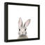 Art encadré en lapins forestières-48188938-48188939