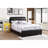 Stylish Contemporary Queen Bed