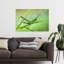 Criquet vert, sauterelle délicate et sereine, illustration murale végétale naturelle-1028303687