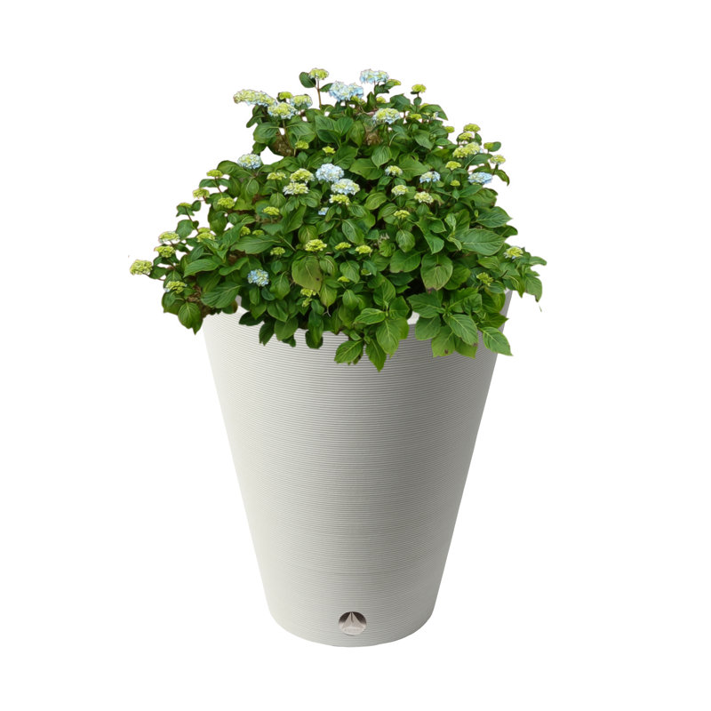 Pot à fleurs Cara, Blanc