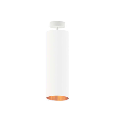 Ashpreet 1 - Light Single Pendant