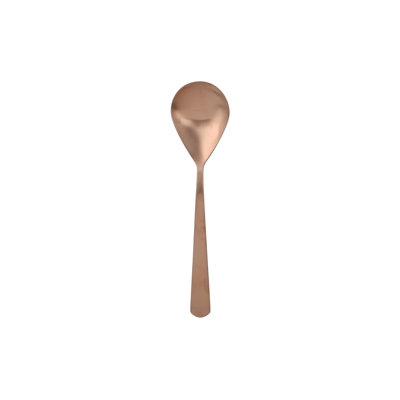 Stainless Steel Serving Spoon