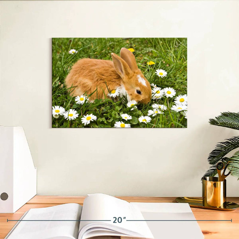 Brampt marguerites et lapin, H 8 po x l 12 po