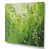 Wrapped Canvas