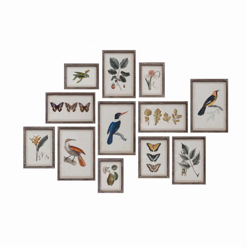 Décoration murale oiseau et botanique